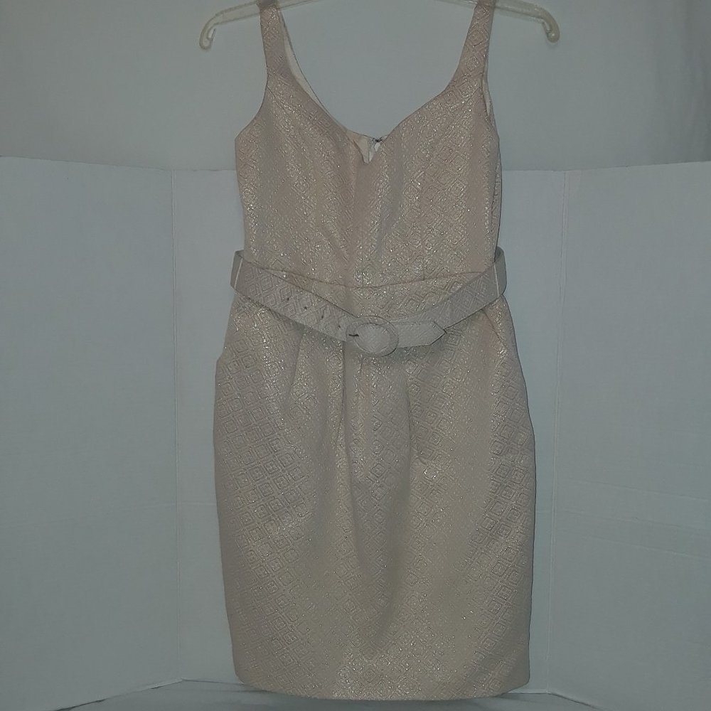 Intrigue V-Neck Dress Quilted Sleeveless Front Pleats Structured